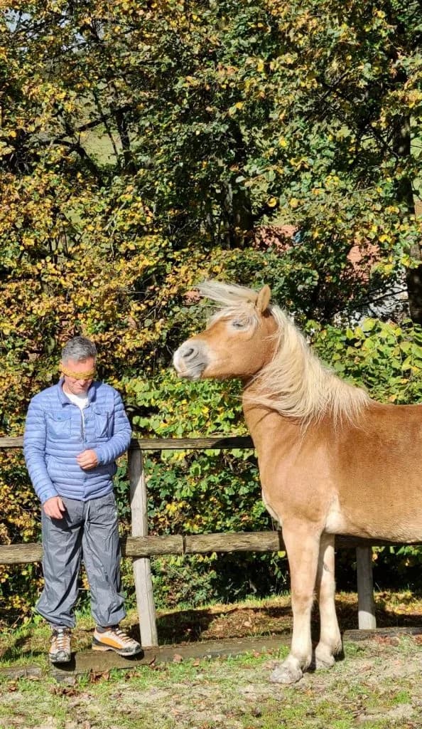Blindfolded man standing near a horse by a wooden paddock fence, an equine coaching exercise for leadership development.