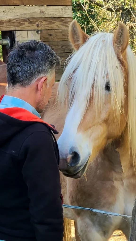 Man in close nose-to-nose connection with a horse, an equine coaching moment of trust for leadership development.