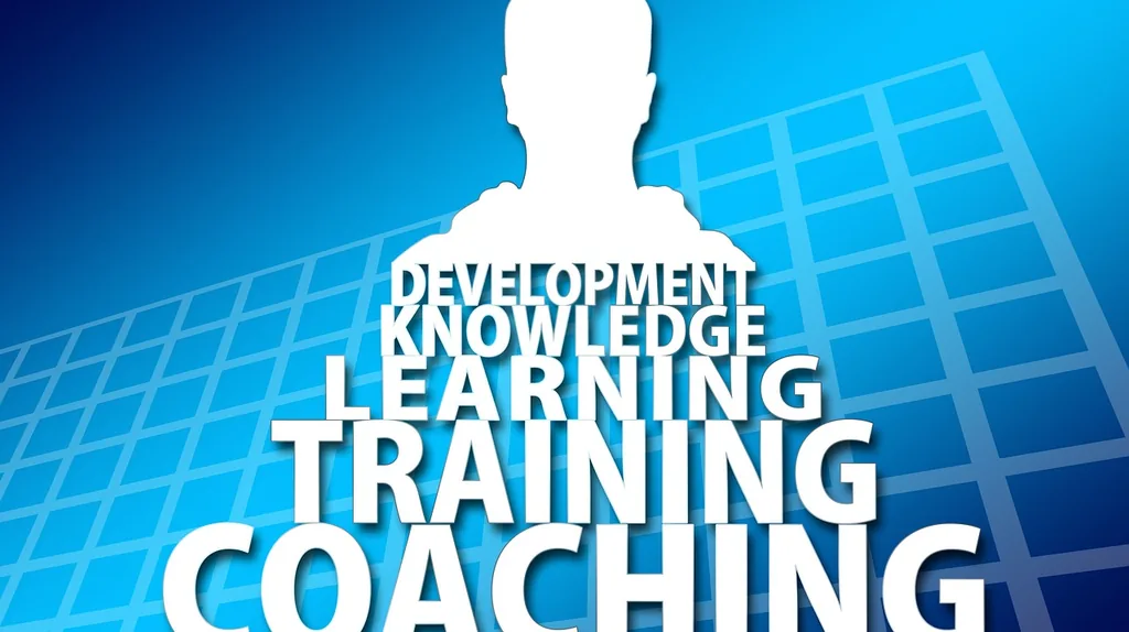 Executive coaching